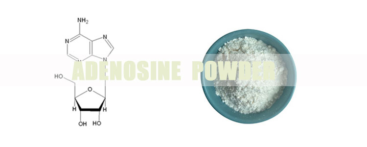 Adenosine-Powder-banner.jpg