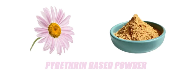 pyrethrin based powder