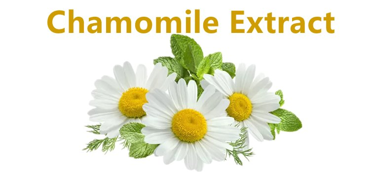 Chamomile.png