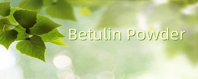 Betulin.png