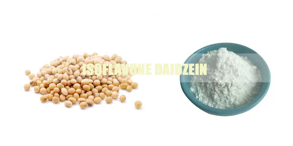 isoflavone-daidzein.jpg