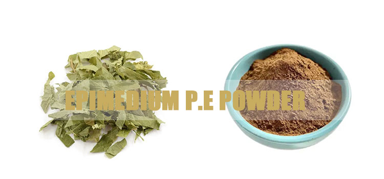 Epimedium-P.E-powder.jpg