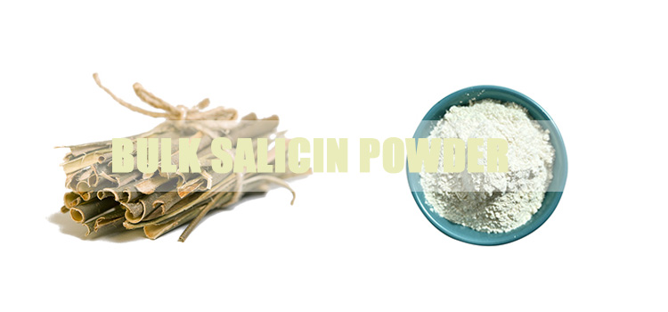 Bulk-Salicin-powder.jpg