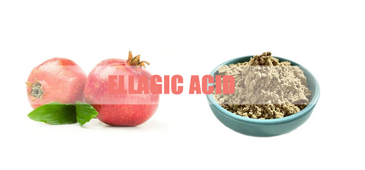 Ellagic-Acid-powder.jpg