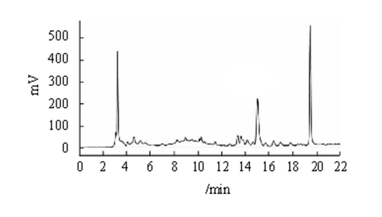 Chromatography.jpg