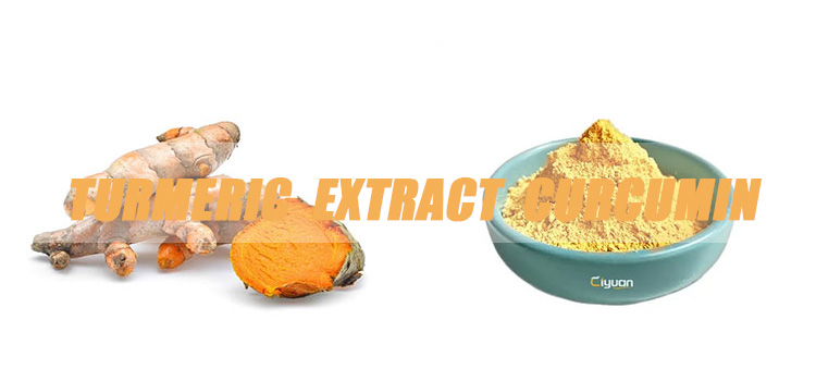 turmeric-extract-curcumin-banner.jpg