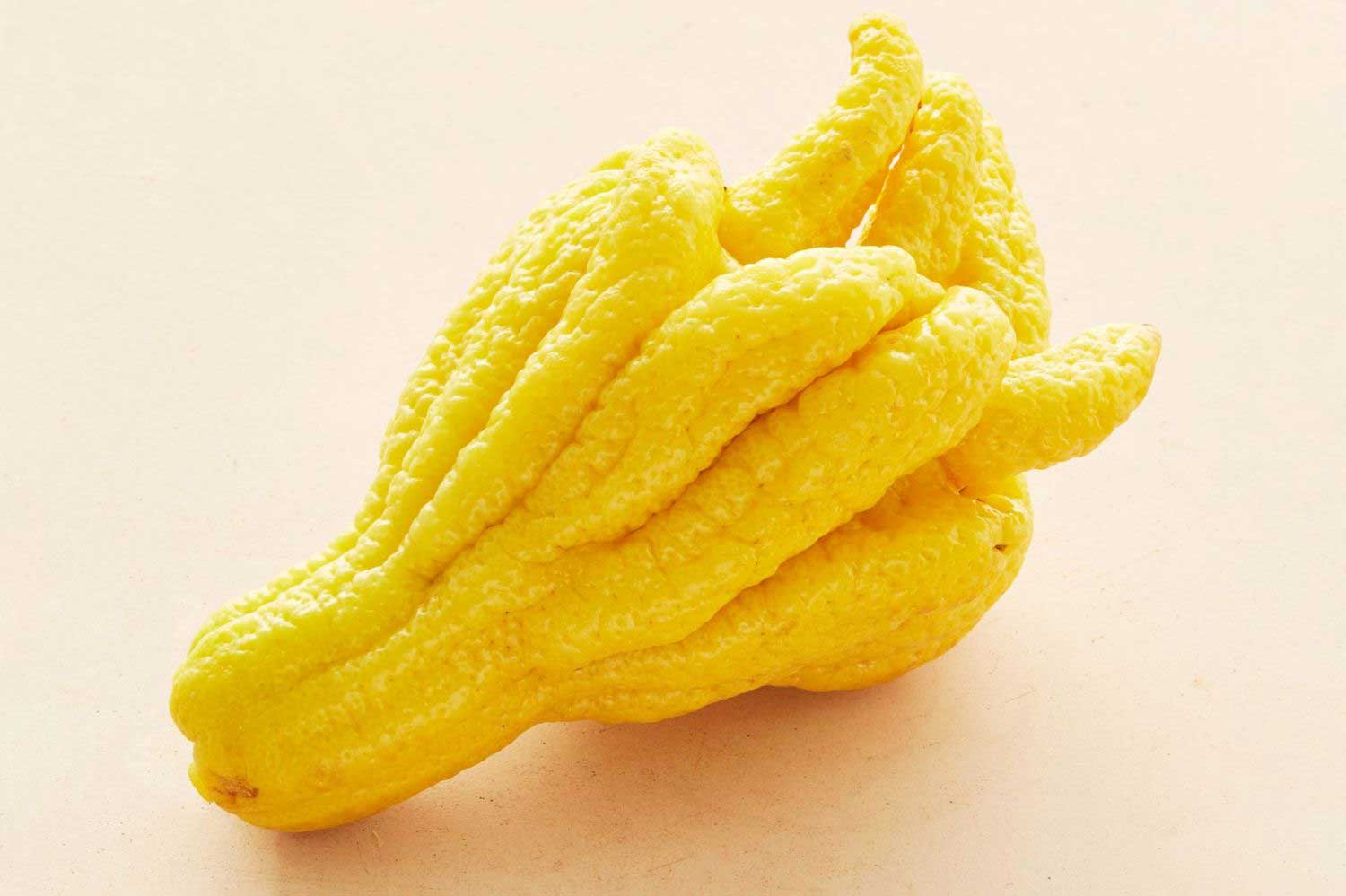 finger--citron.jpg