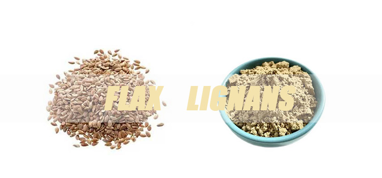 flax-lignans-banner.jpg