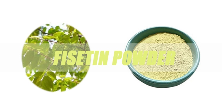 fisetin-powder-banner.jpg