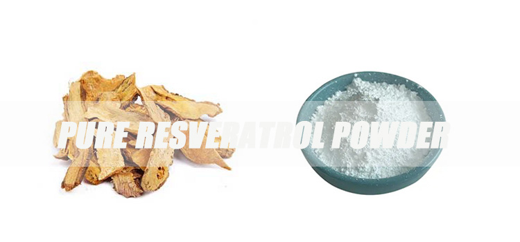 pure-resveratrol-powder-banner.jpg