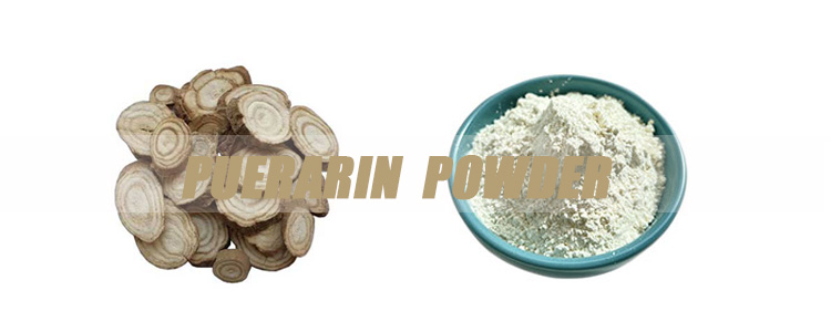 Puerarin-Powder-banner.jpg