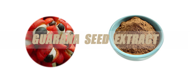 Guarana-Seed-Extract-banner.jpg