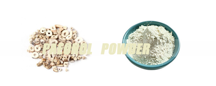 Paeonol-Powder-banner.jpg