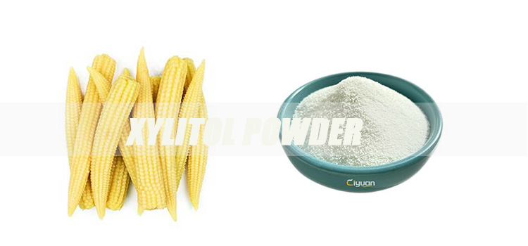 Xylitol-Powder-banner.jpg