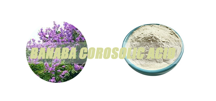 banaba-corosolic-acid.jpg