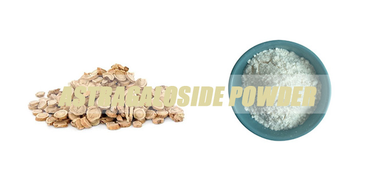 astragaloside-banner.jpg