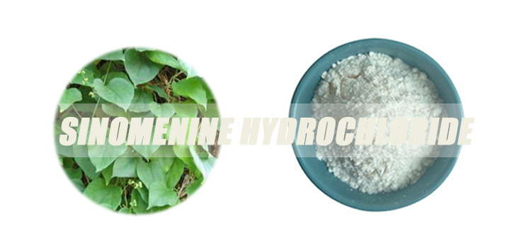 sinomenine-hydrochloride-banner.jpg