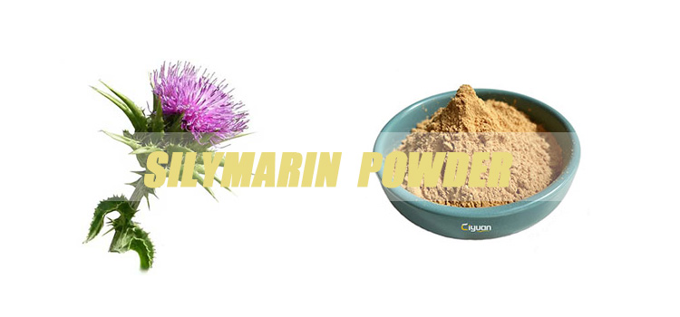 silymarin-powder-banner.jpg