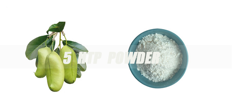 5-htp-powder-banner.jpg