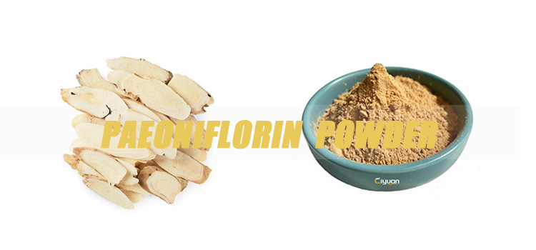 paeoniflorin-powder-banner.jpg