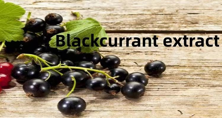 Blackcurrant.png